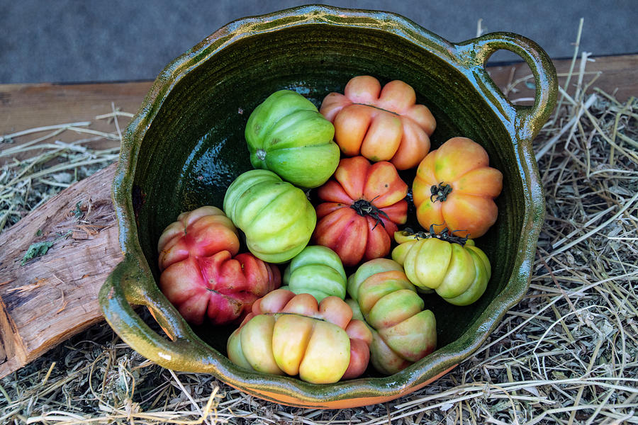 Heirloom Tomatoes Photograph by William Scott Koenig