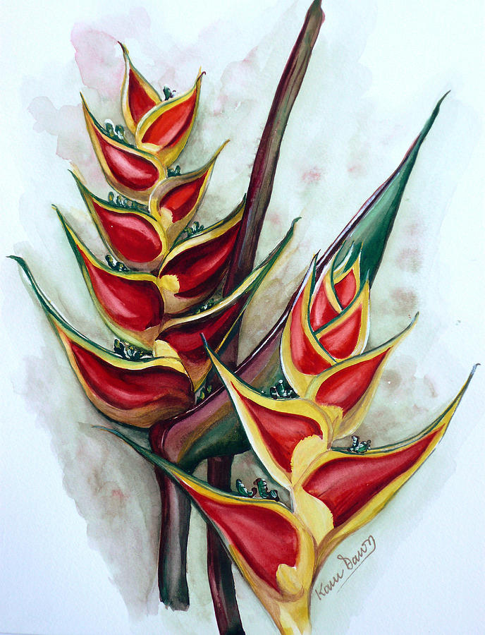 Heliconia Tropicana Trinidad Painting by Karin Dawn Kelshall- Best Heliconia Tropicana Trinidad Painting by Karin Dawn Kelshall- Best