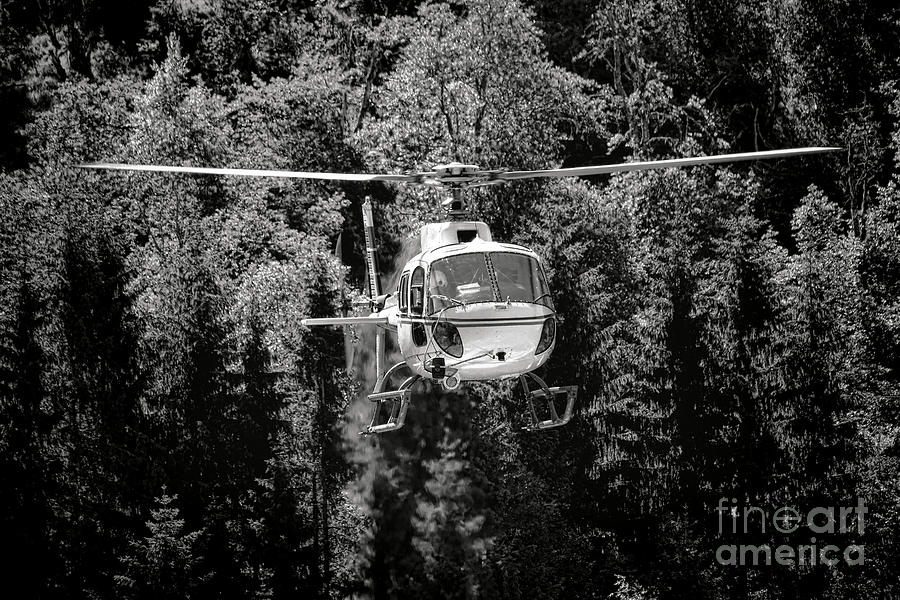 Helicopter in Forest Photograph by Olivier Le Queinec