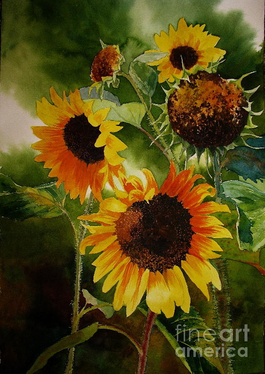 Heliotropes Painting by Bivenne Harvey Staiger - Fine Art America