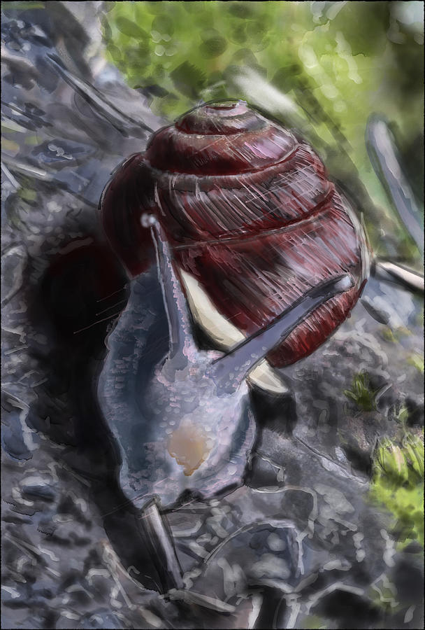 Helix Pomatia Roman Snail  Digital Art by Rob Hartman