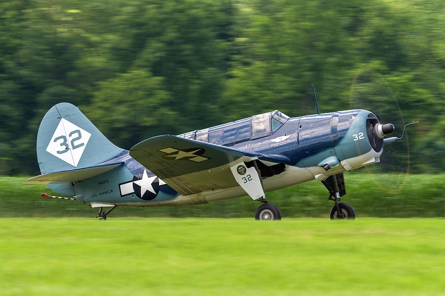 Helldiver on the Move Photograph by Liza Eckardt