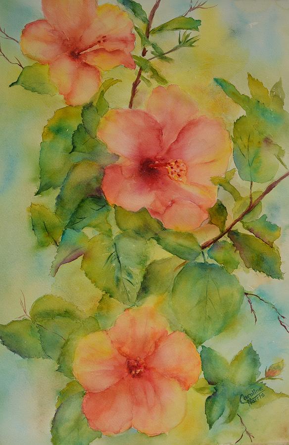 Hello Hibiscus Painting by Caroline Harris