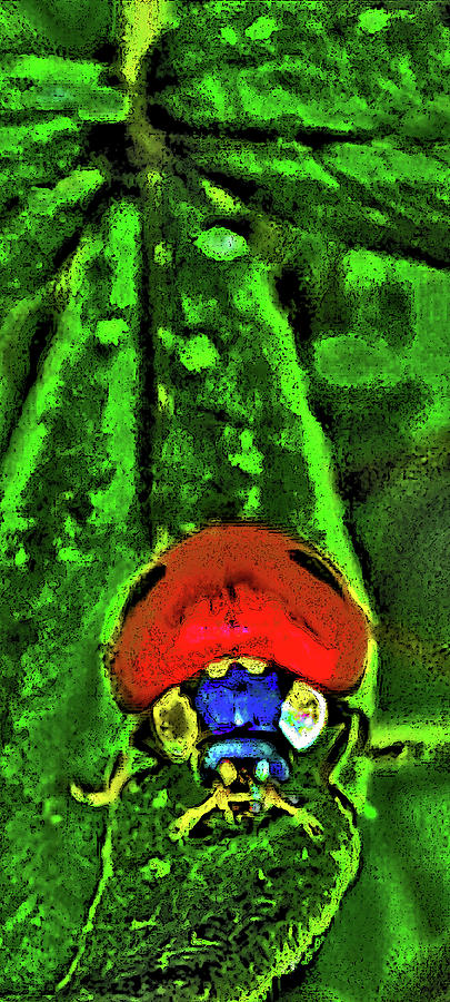 Hello Lady Ladybug. Digital Art