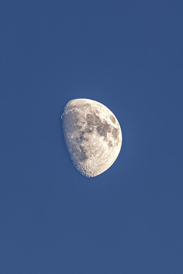 Hello Moon Photograph by Brian Anderson Hello Moon Photograph by Brian Anderson