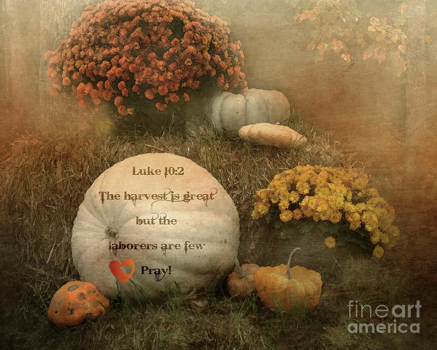 Pumpkin Digital Art - Hello Pumpkin - Verse by Anita Faye