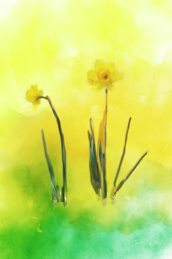 Hello Spring  Photograph by Theresa D Williams