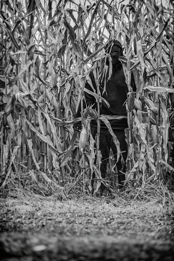 Helloween 2023 Corn Photograph by CJ Schmit
