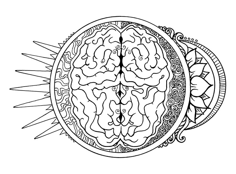 Hemispheres of the Brain Drawing by Katherine Nutt
