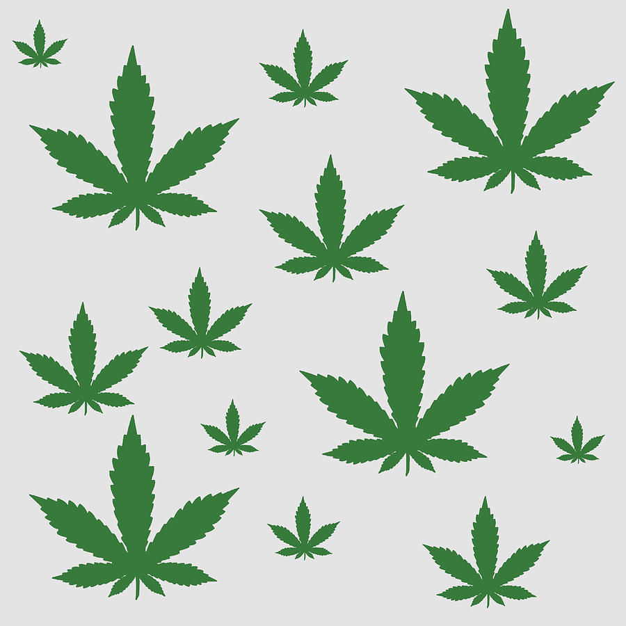 Hemp Leaf Pattern - Green on Plain White Digital Art by Jason Fink