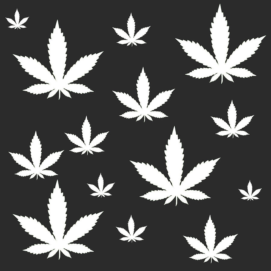 Hemp Leaf Pattern White on Black Digital Art by Jason Fink