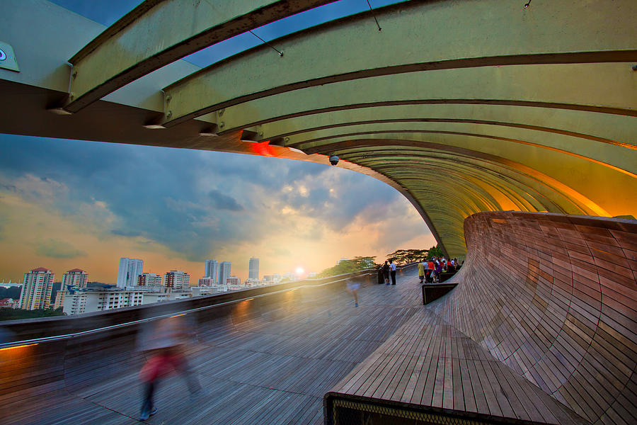 Henderson Waves Bridge, Singapore Photograph by Albert photo
