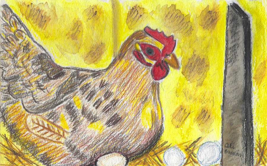 Henrietta the Hen Laying on Eggs on top of Straw Drawing by Ali Baucom