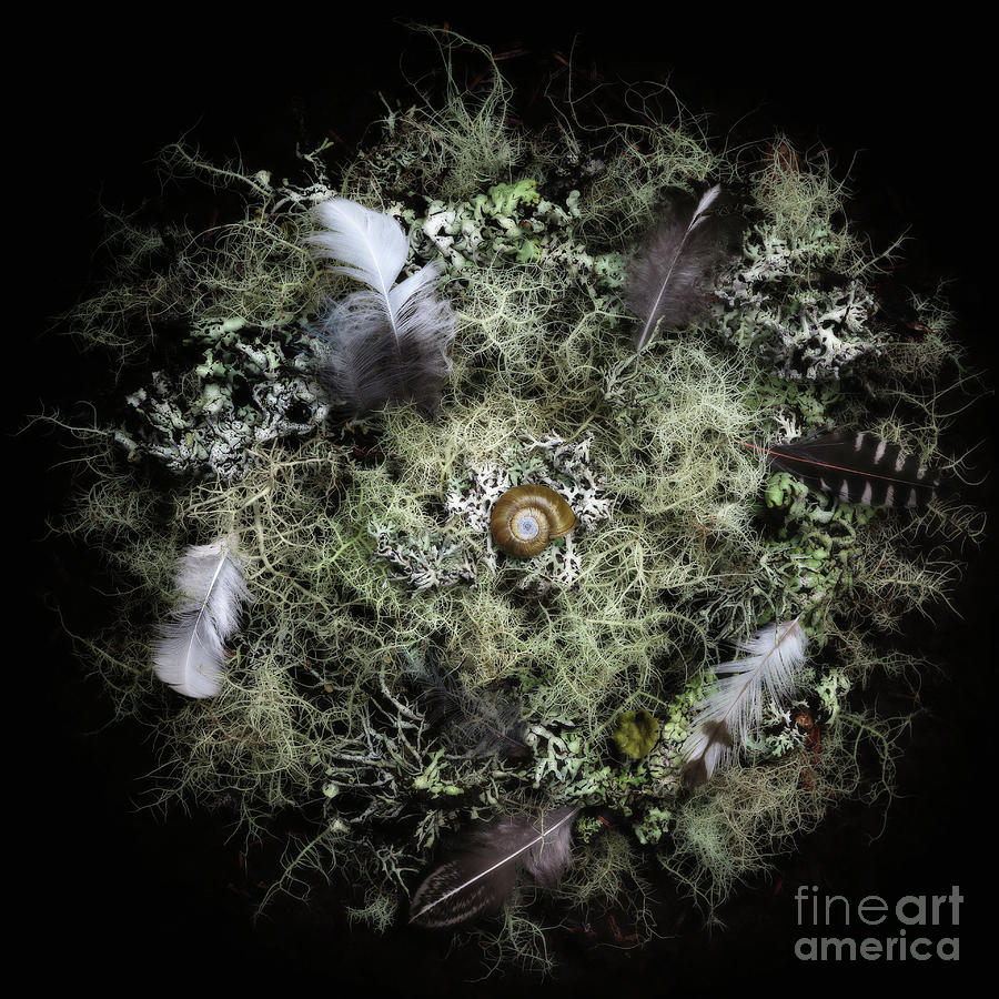 Still Life Photograph - Her and His Planet by Masako Metz