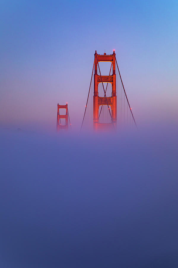 Her Highness, Golden Gate Bridge Photograph by Vincent James
