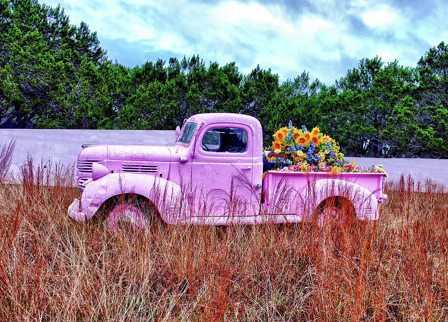 Her Pink Truck Photograph by Renee Sullivan