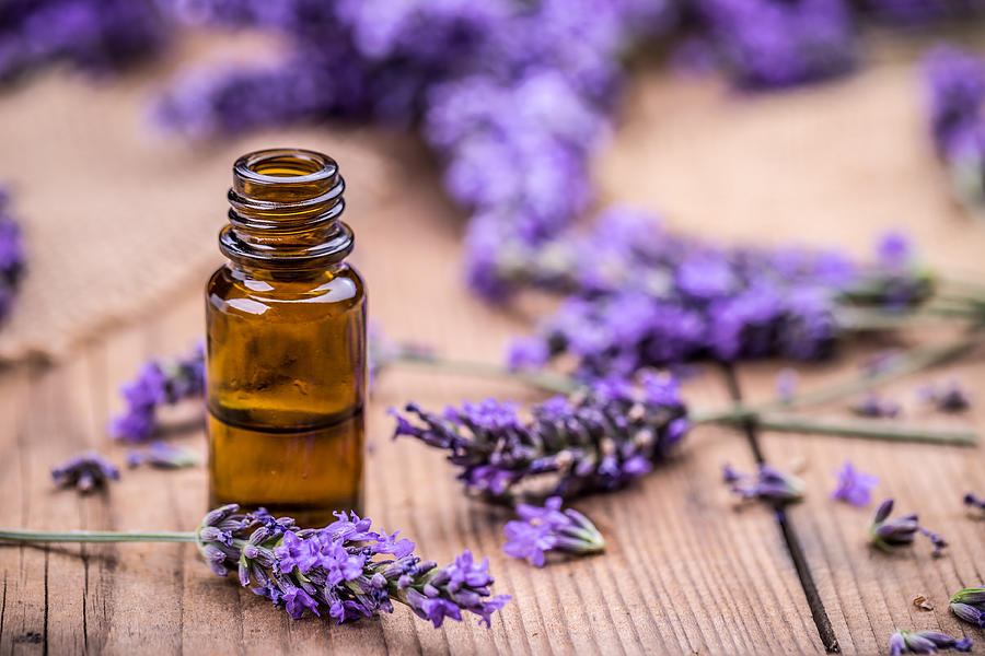 Herbal oil and lavender flowers Photograph by Grafvision