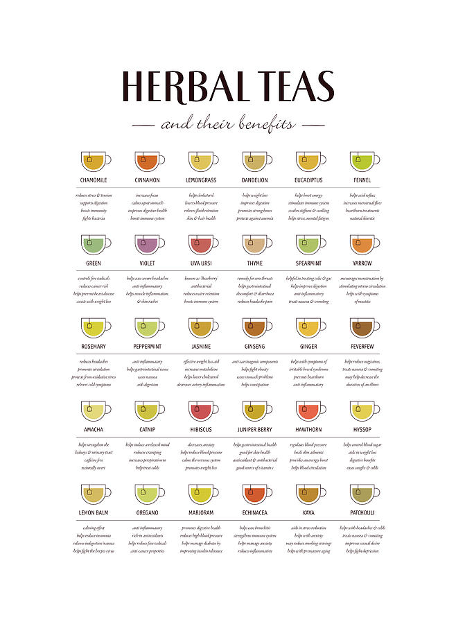 Herbal Tea Guide Digital Art by Penny And Horse - Pixels