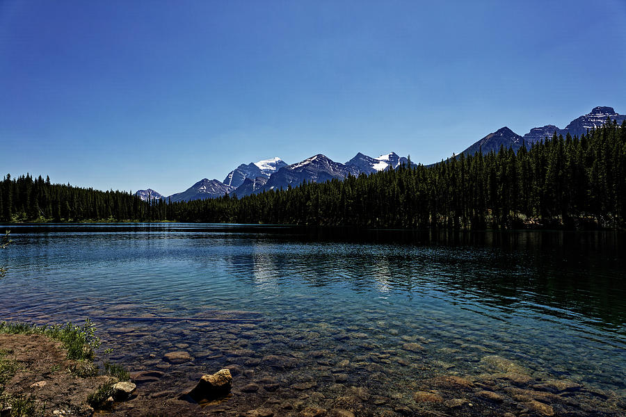 Herbert Lake Photograph by Doolittle Photography and Art