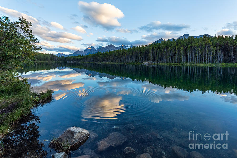 Herbert Lake Ripples and Rock by Alma Danison Herbert Lake Ripples and Rock by Alma Danison