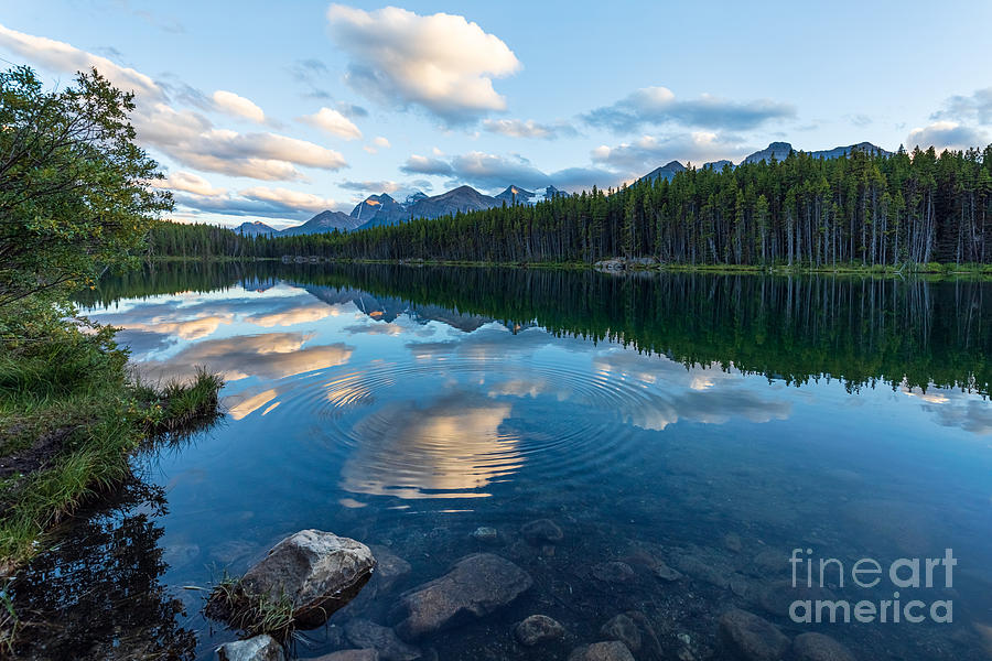 Herbert Lake Ripples and Rock Photograph by Alma Danison