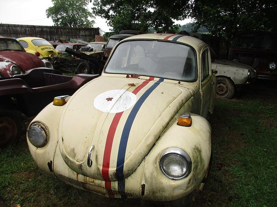 Herbie The Love Bug Photograph by Charlotte Gray | Fine Art America