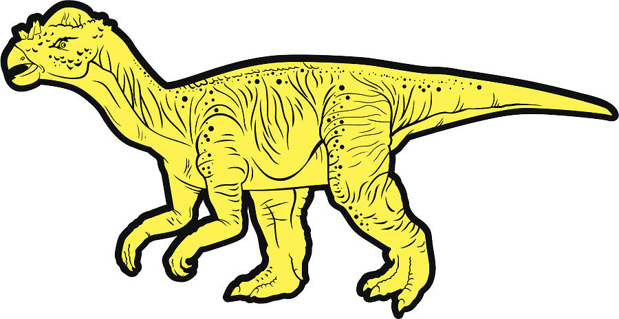 herbivorous dinosaur (Pachycephalosaurus) Drawing by Woewchikyury