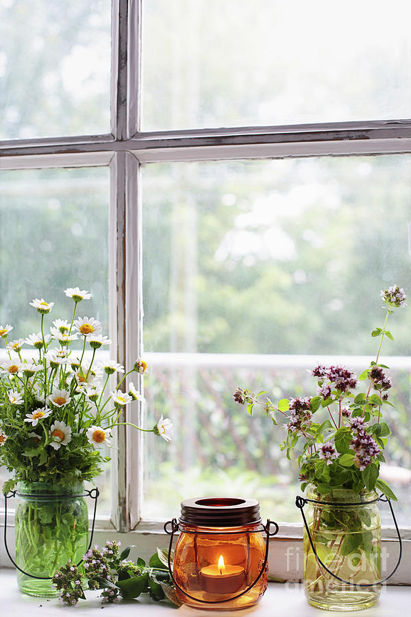 Herbs and flowers with lantern on window sill Photograph by Sandra Cunningham