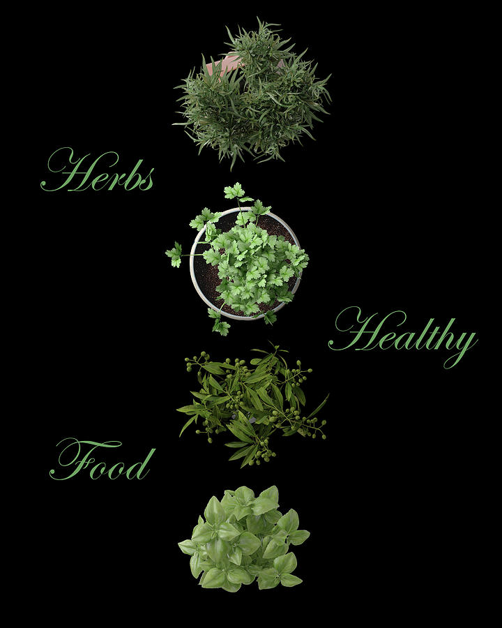 Herbs Are Healthy And Delicious Photograph by Johanna Hurmerinta
