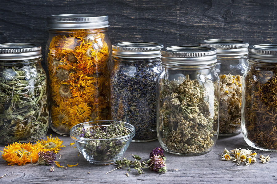 Jar Photograph - Herbs in jars by Elena Elisseeva