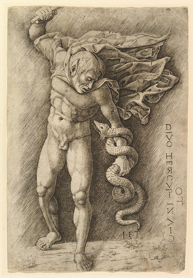 Hercules and the Hydra Drawing by School of Andrea Mantegna