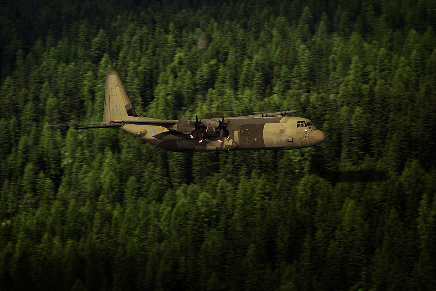 Hercules Forest Digital Art by Airpower Art