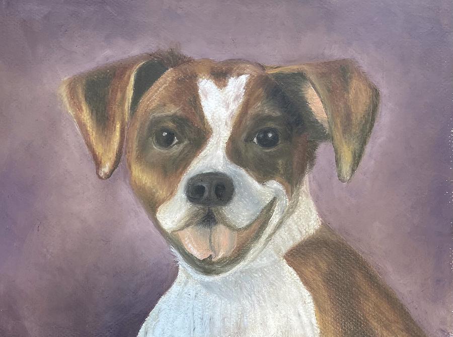 Dog Pastel - Hercules by Laura Shearer