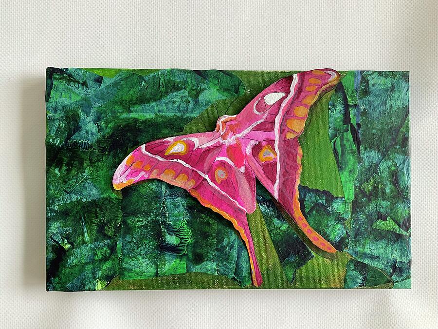 Hercules Moth Mixed Media by Eileen Petre Hercules Moth Mixed Media by Eileen Petre