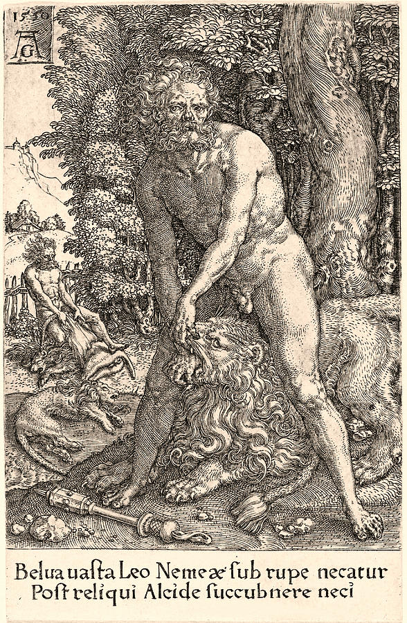 Hercules Slaying the Lion of Nemea Drawing by Heinrich Aldegrever