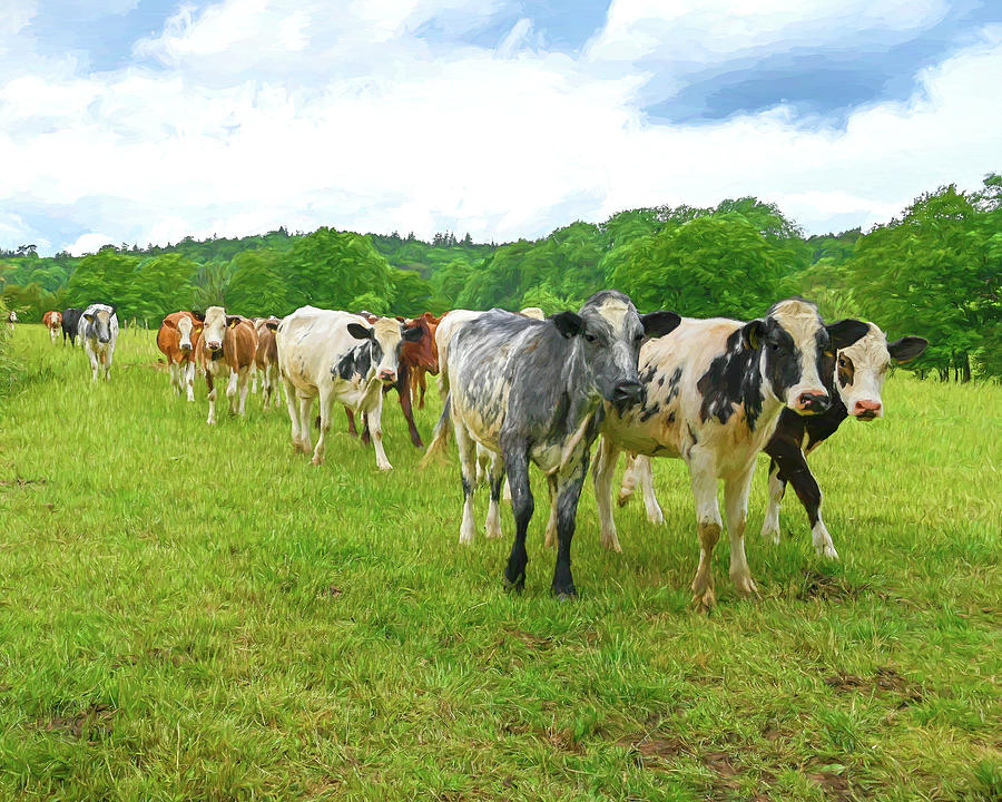 Herd of Cows 2 Digital Art by Roy Pedersen