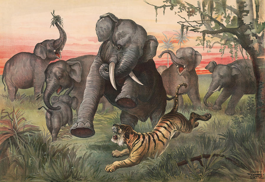 Herd Of Elephants Charging A Tiger - Vintage Lithograph - 1880 Painting by War Is Hell Store