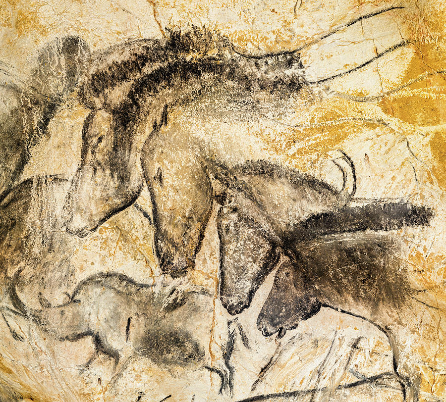 Prehistoric Painting - Herd of Horses and Rhinoceros by Chauvet Cave