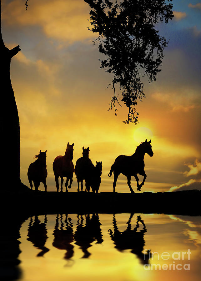 Herd of Horses in Southwestern Colored Sunset Oak Tree Reflected in Pond of Water Photograph by Stephanie Laird
