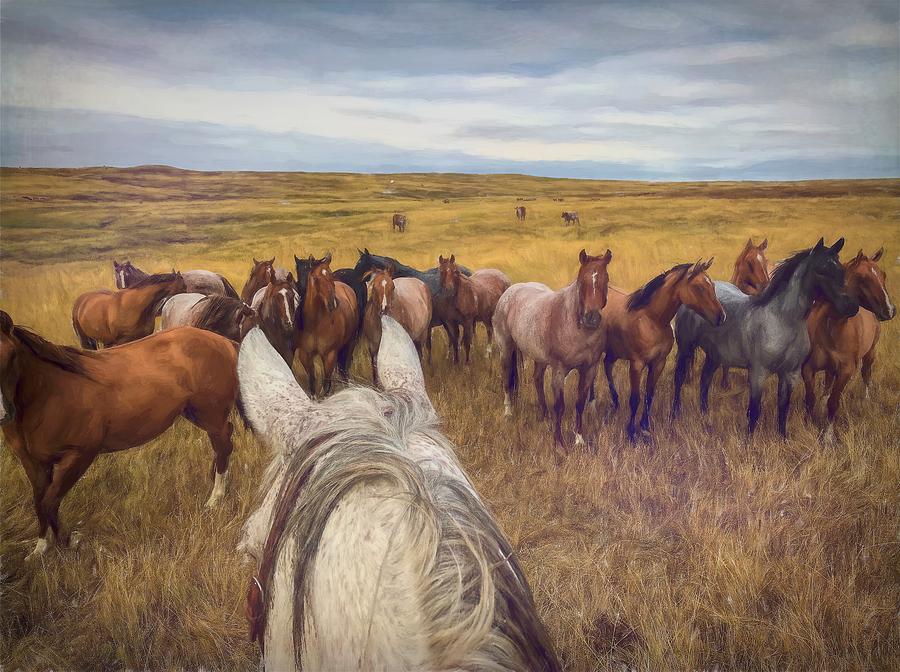 Herd of Horses Near Ardmore South Dakota Photograph by Rebecca Herranen