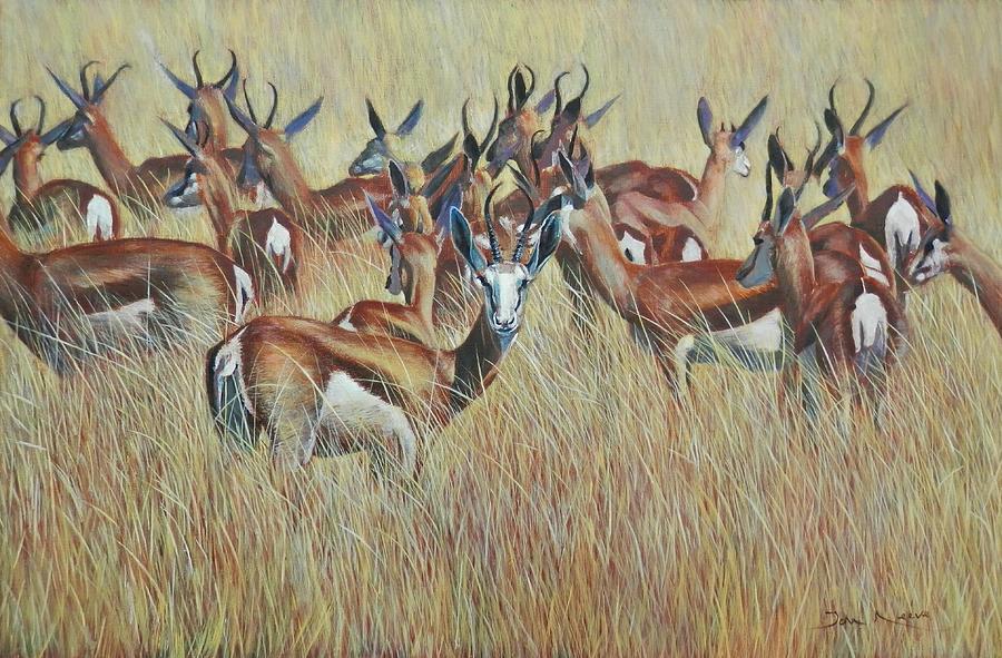 Herd of Springbok Painting by John Neeve