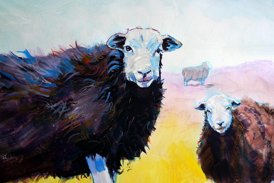 Herdwick Sheep Painting Painting by Mike Jory