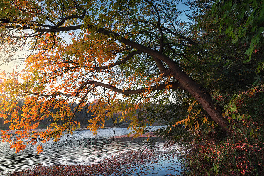 Here comes the autumn on the small lake Photograph by Dejan Travica Here comes the autumn on the small lake Photograph by Dejan Travica
