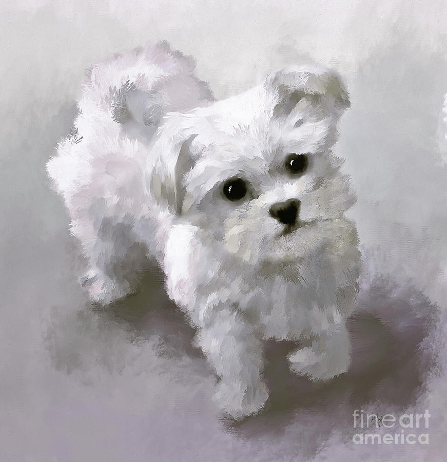 Here Comes The Puppy In Black And White Digital Art by Lois Bryan