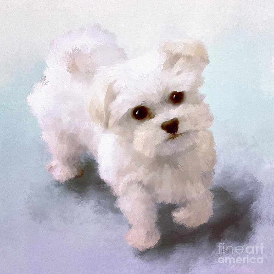 Here Comes The Puppy Digital Art by Lois Bryan