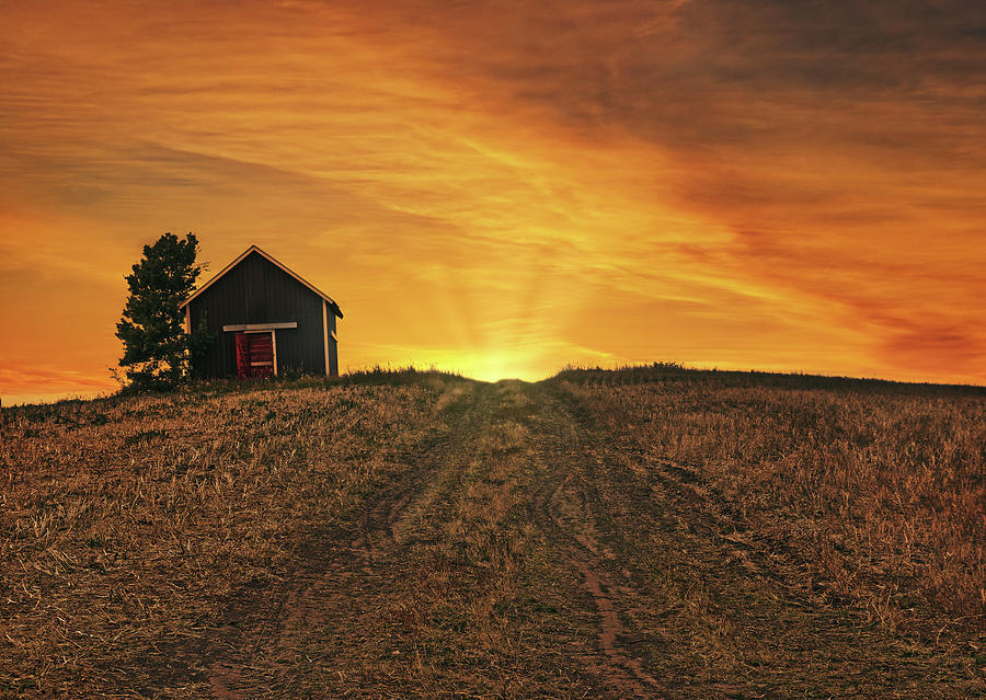 Here Comes The Sun Photograph by Dan Jurak