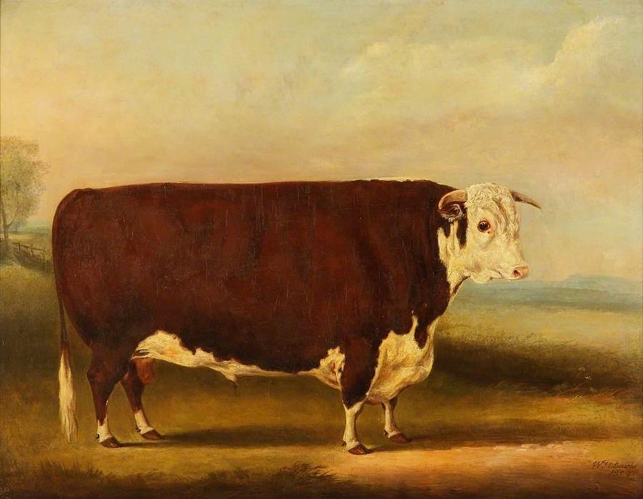 Hereford Bull 'Walford' Painting by WilliamHenryDavis | Pixels