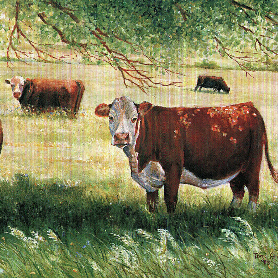 Cow Painting - Hereford Cow by Toni Grote