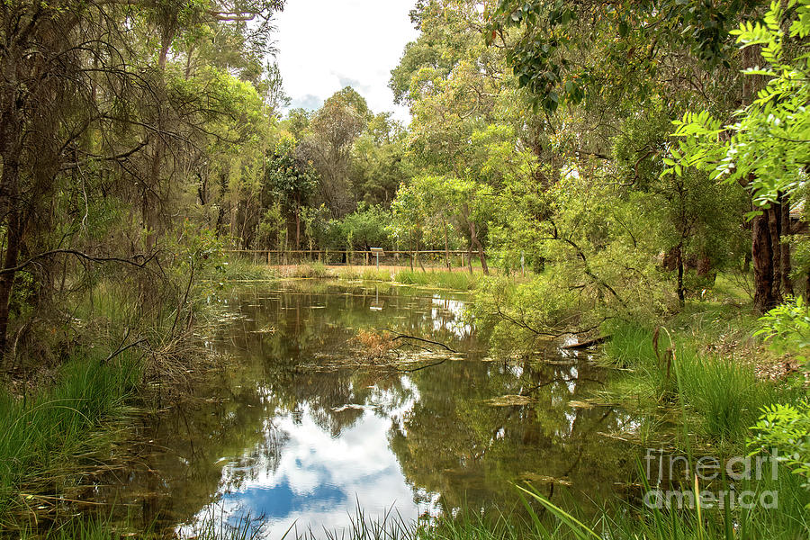 Heritage Park, Manjimup, Western Australia Photograph by Elaine Teague