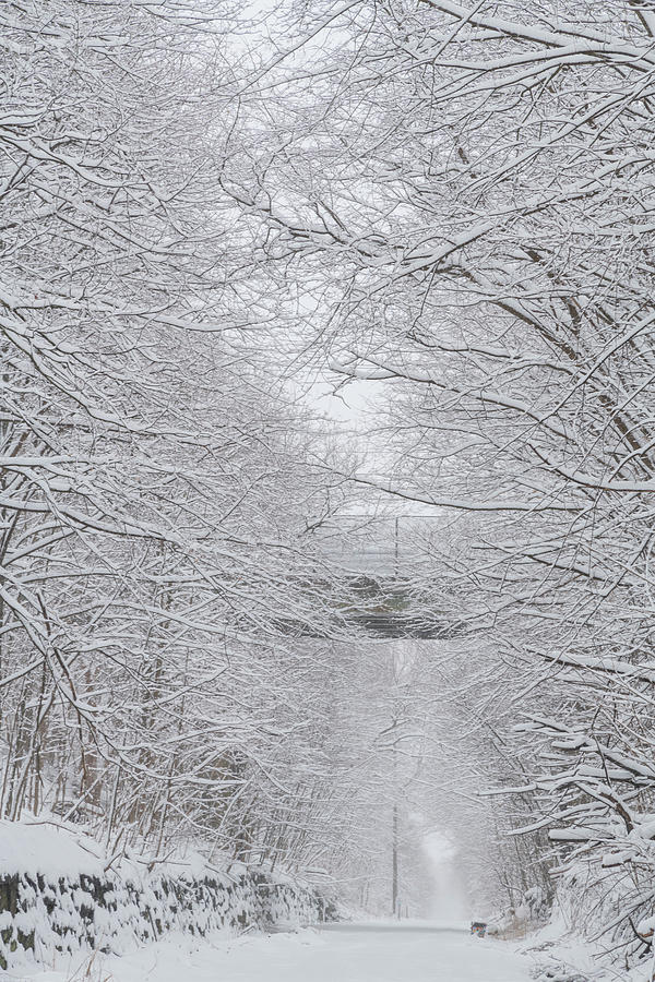 Winter Photograph - Heritage Trails Winter Song  by Angelo Marcialis